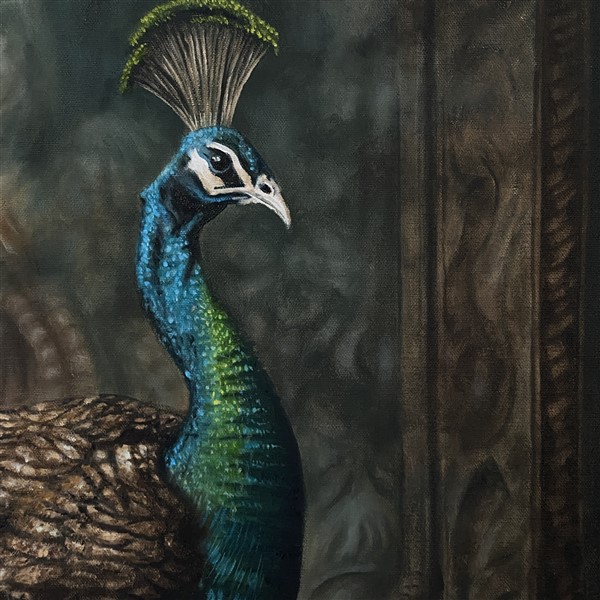 Peacock Blue Detail 4 (600 x 600)